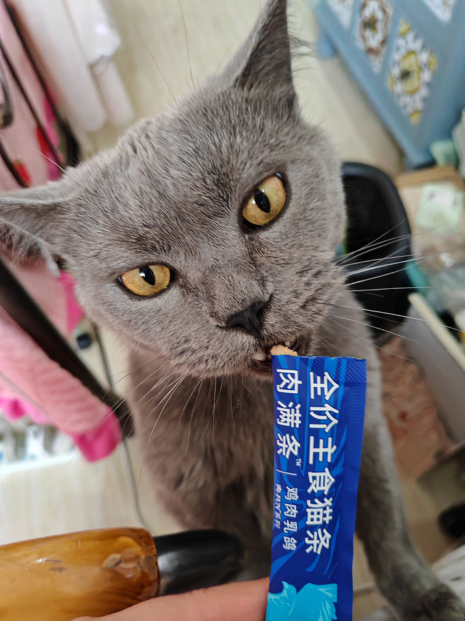蓝氏猫零食