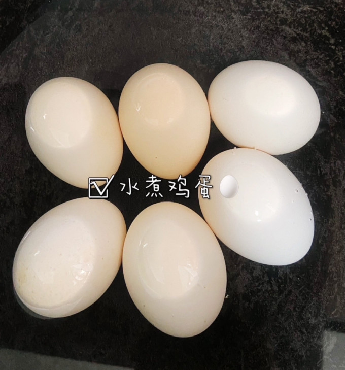 虾有虾途虾类