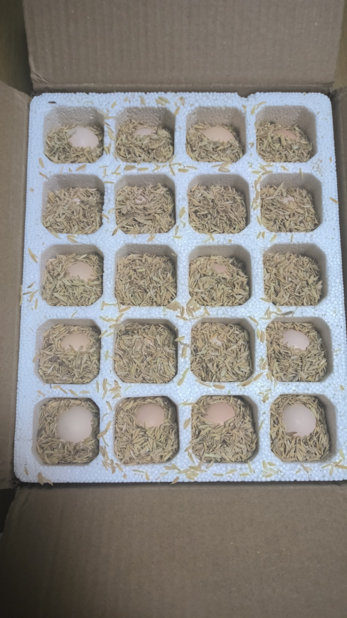 宛味宝禽蛋肉类