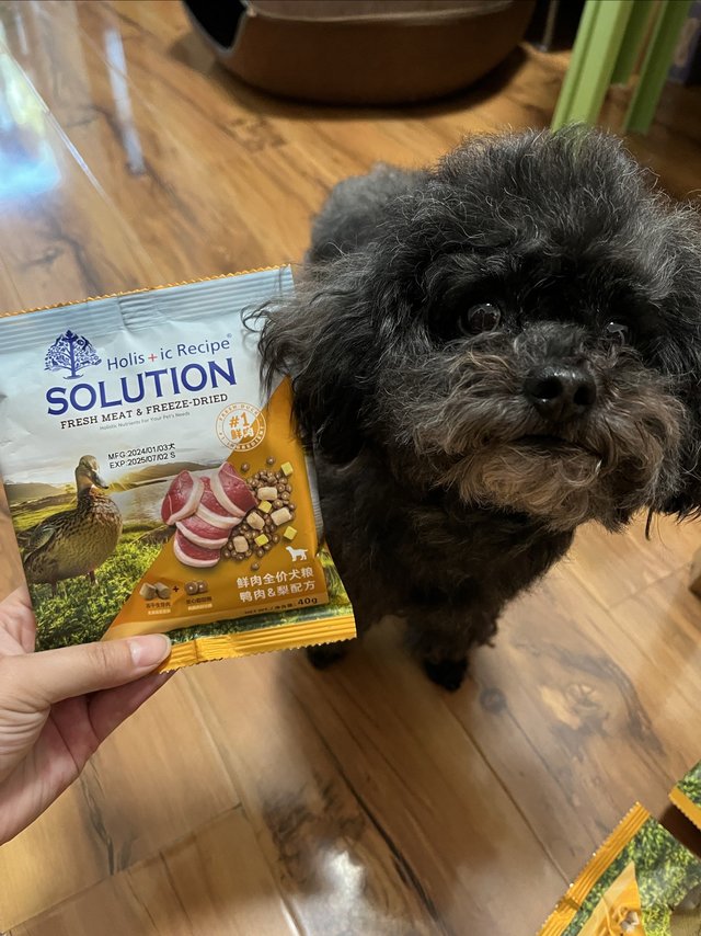 小豆我呀 也中了夹心狗粮噢