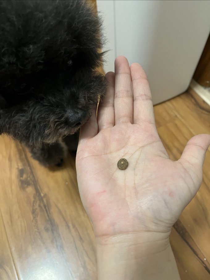 耐吉斯狗粮