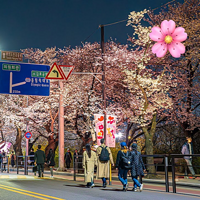 韩国之旅