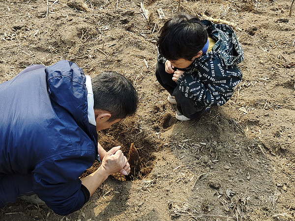 春天带娃去山野里挖笋吧