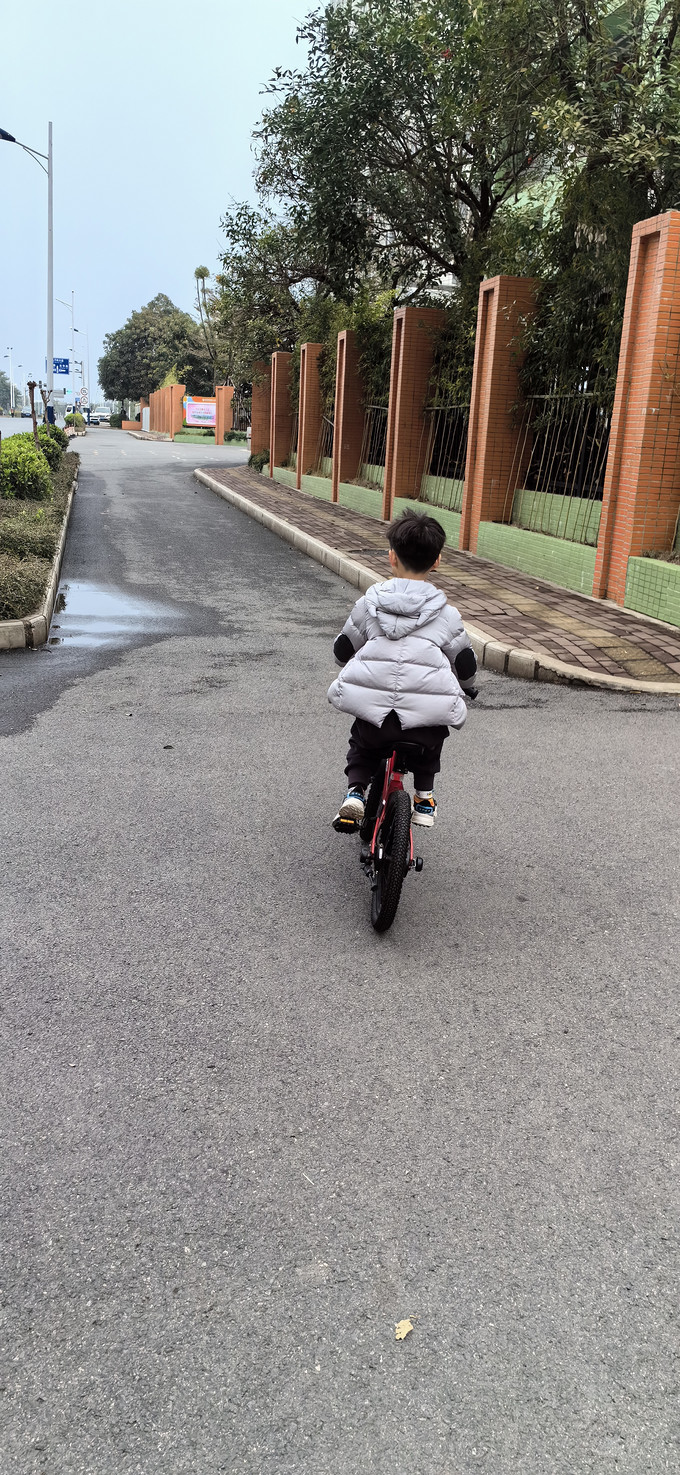 喜德盛儿童自行车