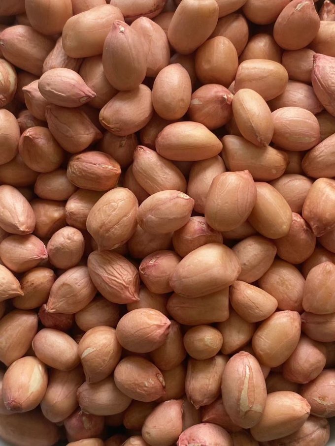 2024-04-08 12:04:12 来自贵州梵净山的特产——铜仁珍珠小花生!