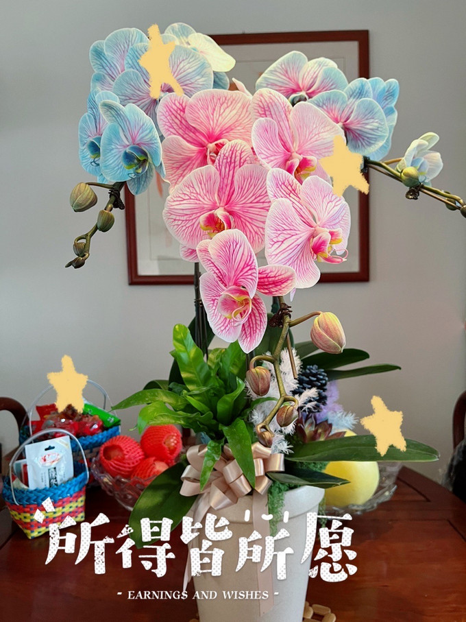 鲜花绿植