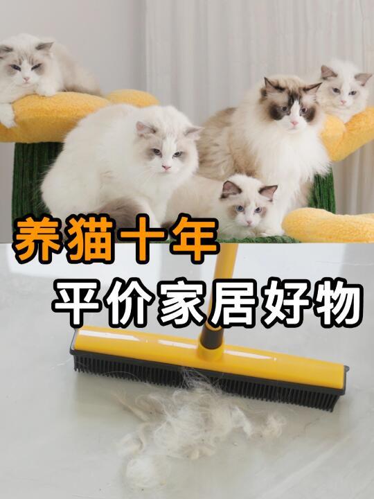 无广嗷！这些家居确实能大幅提高养猫幸福感