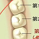  如何清洁智齿和大牙（大臼齿）？学会这一招能省几万块　