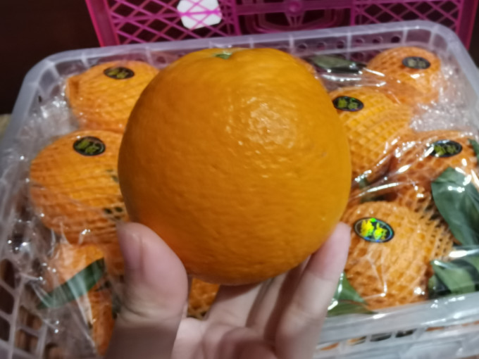 伦晚橙子