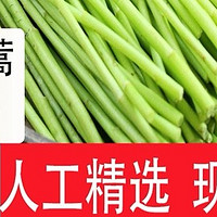 春日鲜味：当季芦蒿，野菜的清新之选