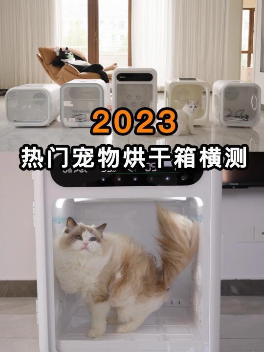 30只猫深度评测宠物烘干箱
