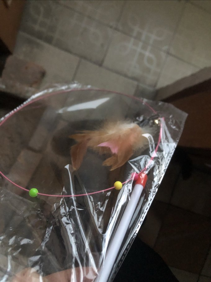 欢宠网宠物毛绒玩具