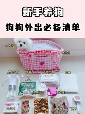 宠物出行必备清单｜这是一期狗狗外出好物推荐🌟结尾有出行必备用品的表格👆大多数用品都在橱窗
#宠物用品推荐 #科学养宠攻略 #抖in萌宠计划 #新手养狗 #萌宠好物