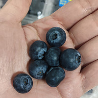 国产蓝莓的佼佼者，一点不输进口货