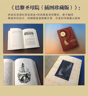 阅读·生活——后浪插图珍藏版小说类：傲慢与偏见+查第格+远大前程+巴黎圣母院（套装共4册）