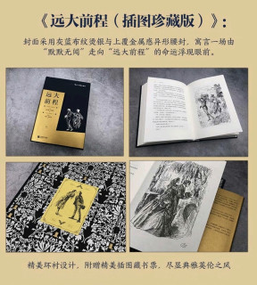 阅读·生活——后浪插图珍藏版小说类：傲慢与偏见+查第格+远大前程+巴黎圣母院（套装共4册）