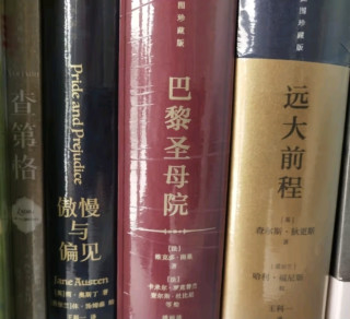 阅读·生活——后浪插图珍藏版小说类：傲慢与偏见+查第格+远大前程+巴黎圣母院（套装共4册）