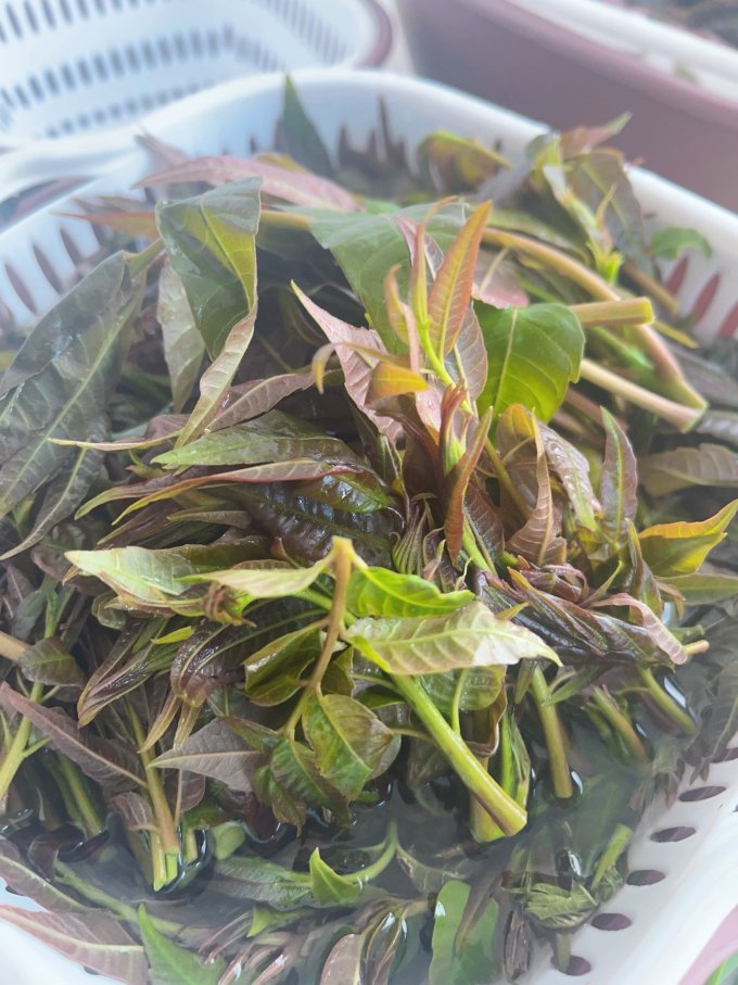 宜品道蔬菜