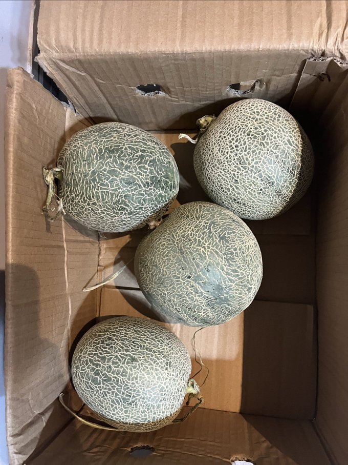 樱鲜新鲜水果