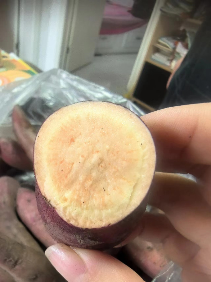 家美舒达蔬菜