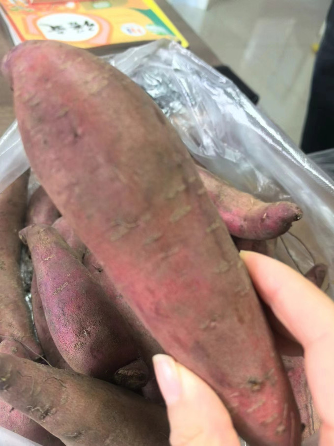 家美舒达蔬菜