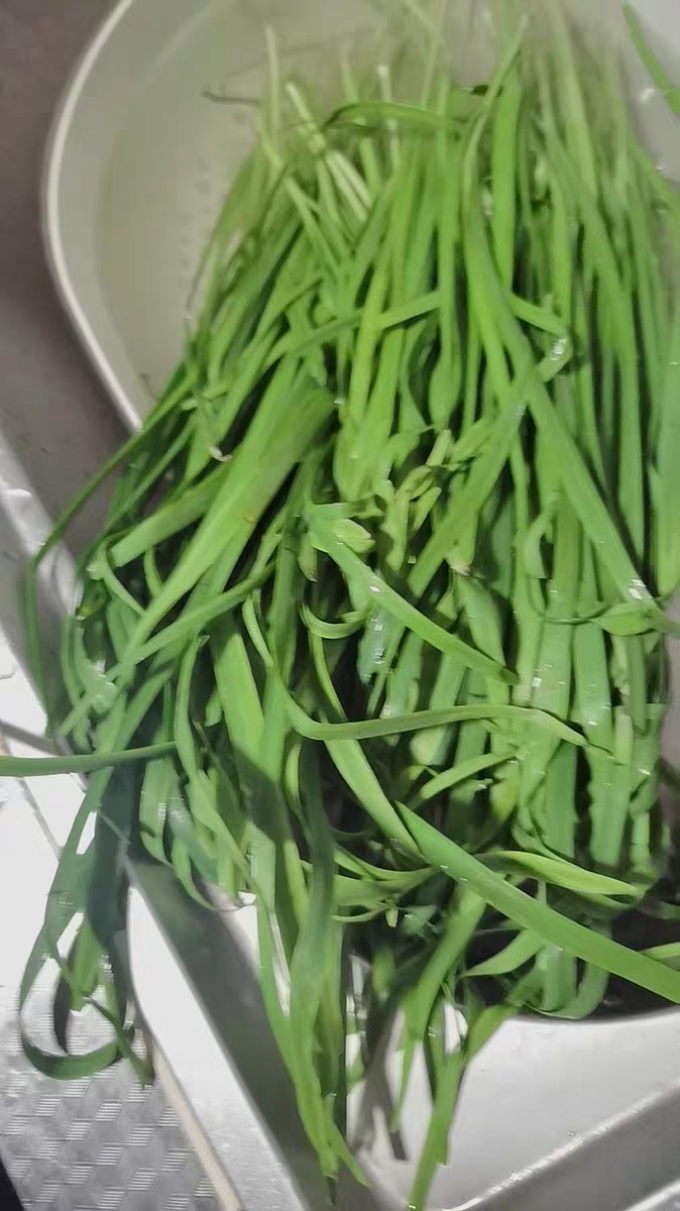 乔诚蔬菜