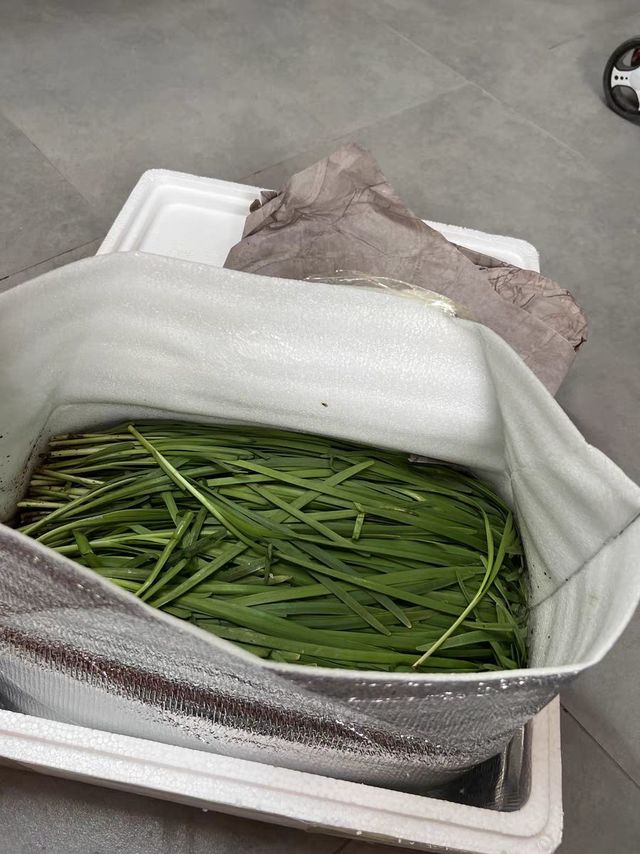 营养又美味的韭菜，春天必吃的一款蔬菜