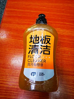 植护地板清洁剂片 抑菌去污瓷砖木地板清洗剂拖地家用清洁液 500g*1瓶