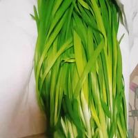 韭菜炒鸡蛋，春天必吃的时令菜