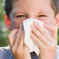 春季过敏性鼻炎怎么办？