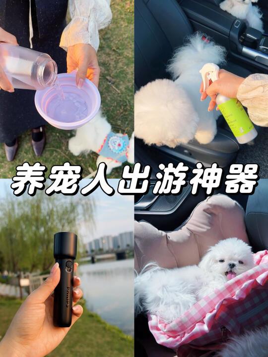 能劝一个是一个❗️带狗旅行千万别忘带这些😭