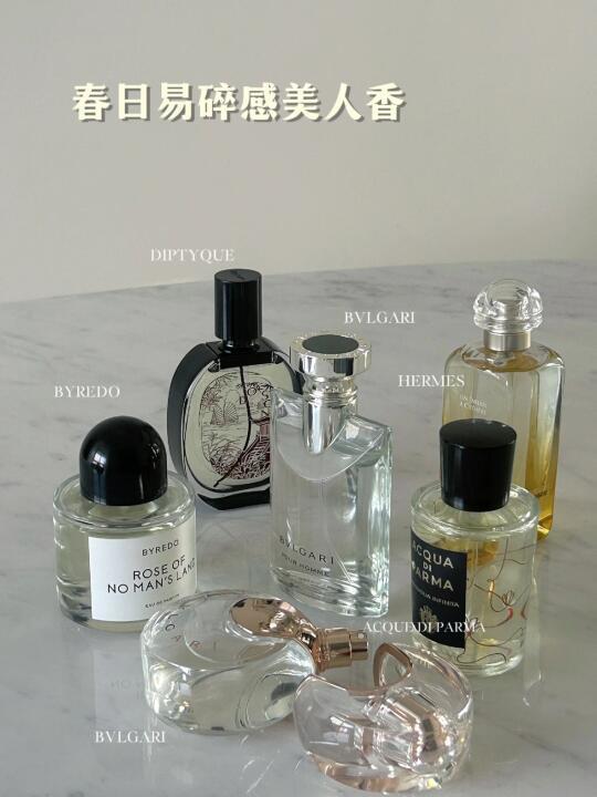 易碎感美人 竟然是这个味道❗️