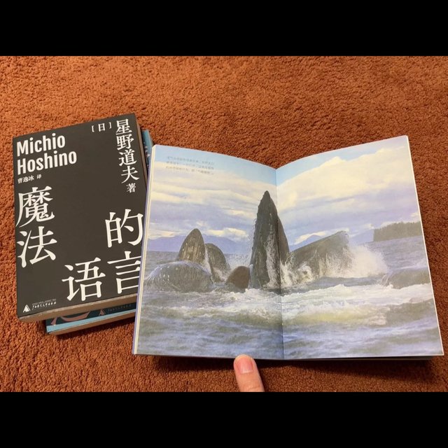 星野道夫的阿拉斯加故事！