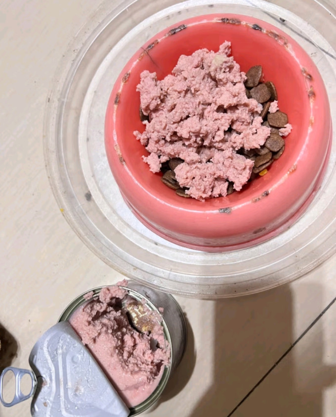 多特思狗狗湿粮/罐头