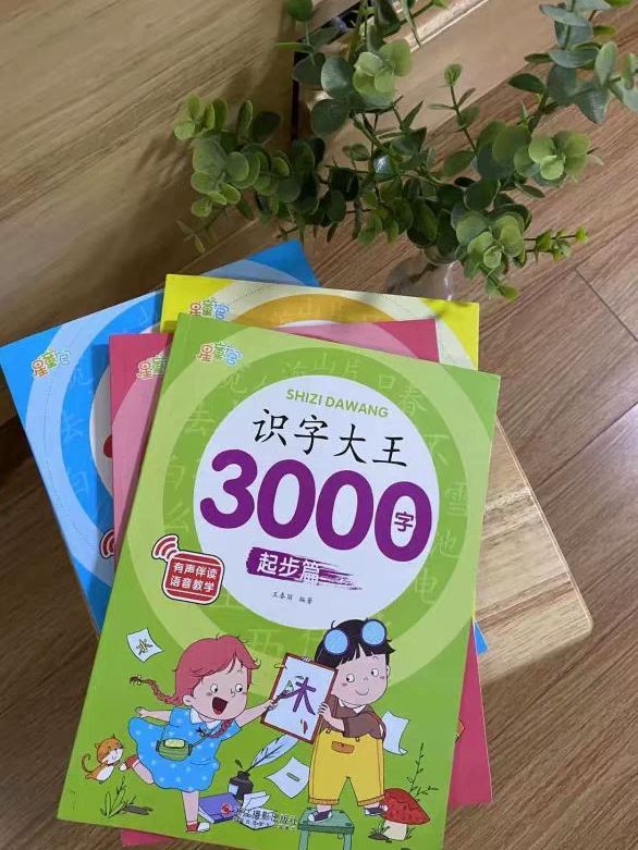 儿童识字大王3000字会说话的汉字启蒙早教书