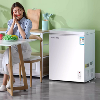 🌸荣事达冰柜，家用小型冷冻保鲜利器！✨
