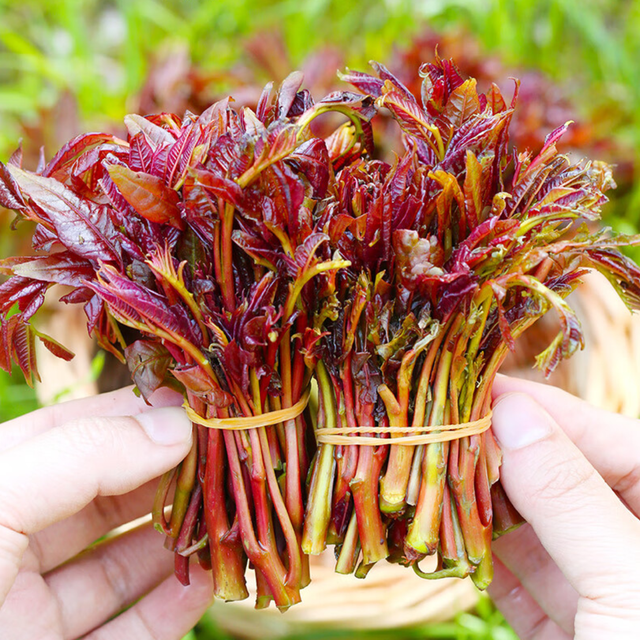 明星厨师推荐！春日限定美味，你绝不能错过