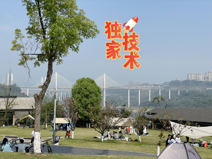 骆驼野营烧烤