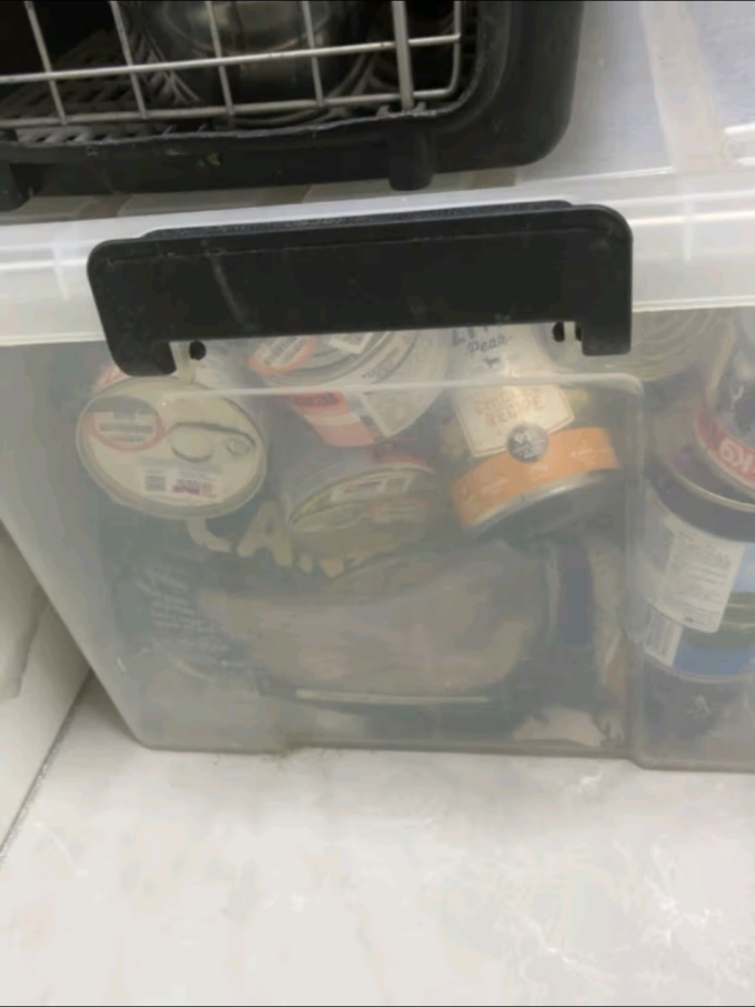 宠源新狗狗零食