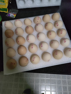 温氏的鸡蛋很棒，鸡蛋你们怎么吃呢？