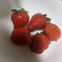 新鲜水嫩的草莓，春天餐桌上不能少的水果