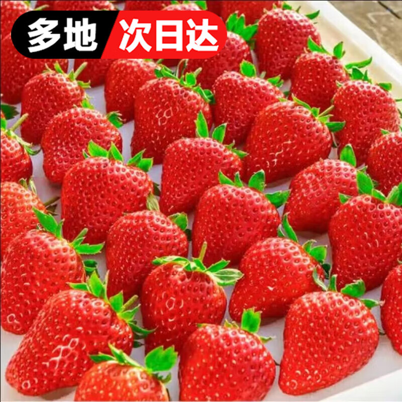 美味又治愈的草莓，春季必吃的水果