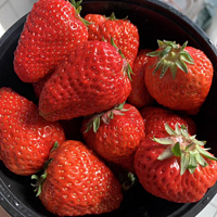 酸甜可口的草莓，春天不可或缺的水果