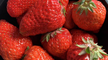 酸甜可口的草莓，春天不可或缺的水果