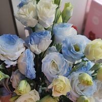春日正当时