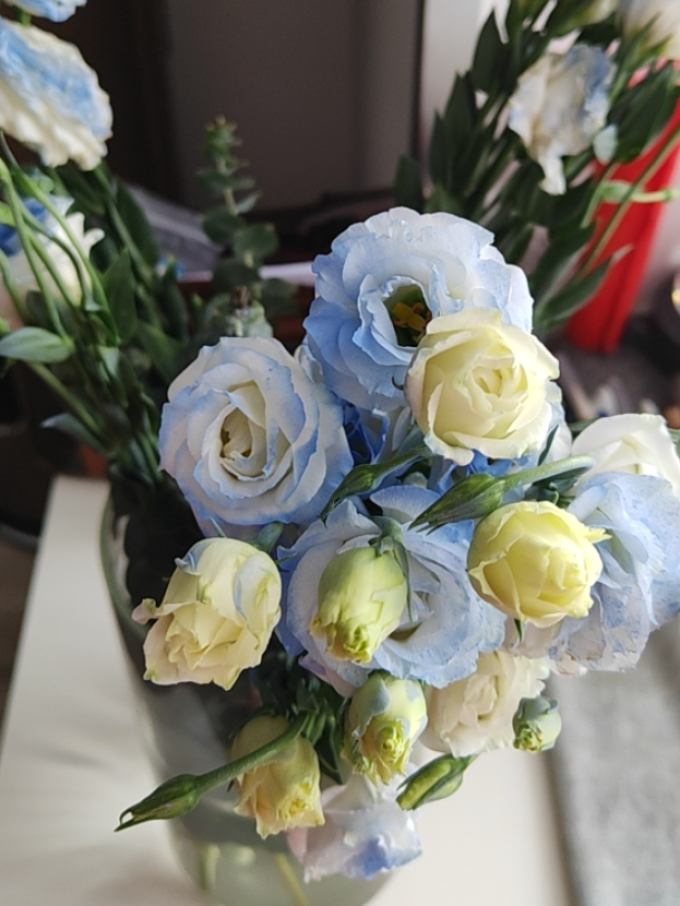 西子悦鲜花绿植