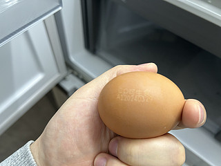 正大的鸡蛋