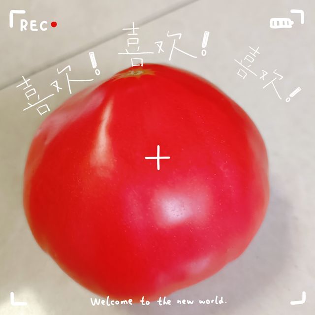 营养丰富的番茄，满足您对健康的需求