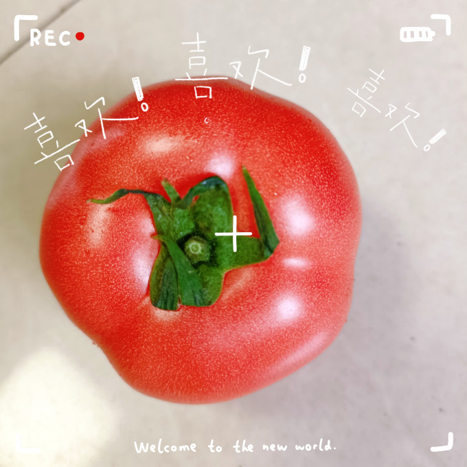 鲜火蔬菜