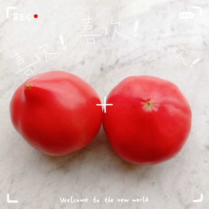 鲜火蔬菜